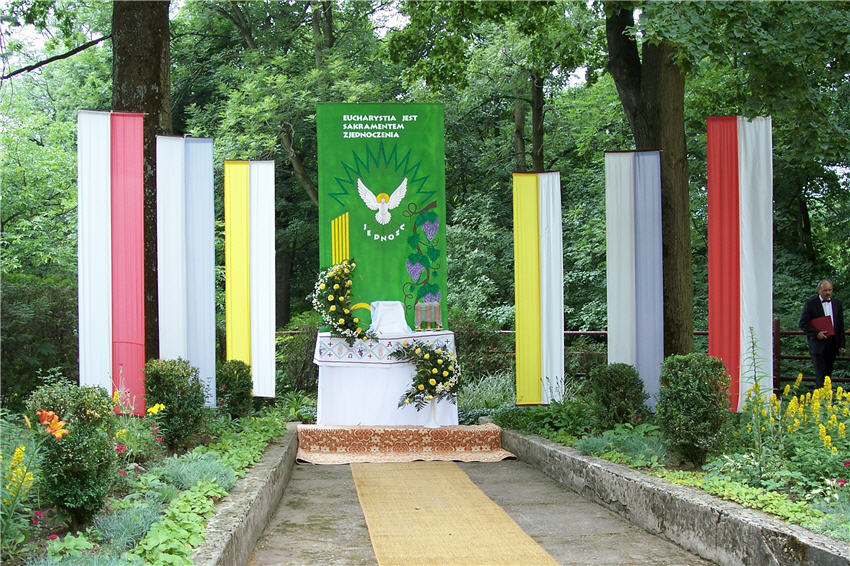 15.jpg